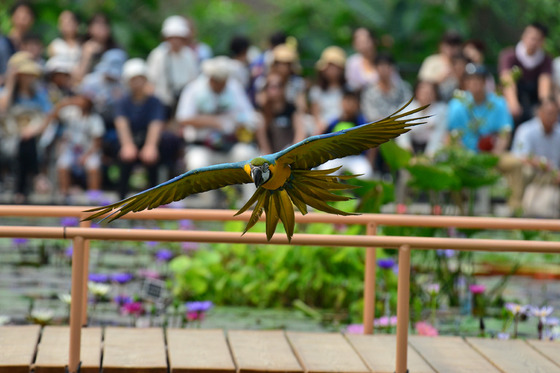 夏休み．．．鳥さん見に行こう～！(^○^)　神戸動物王国2015