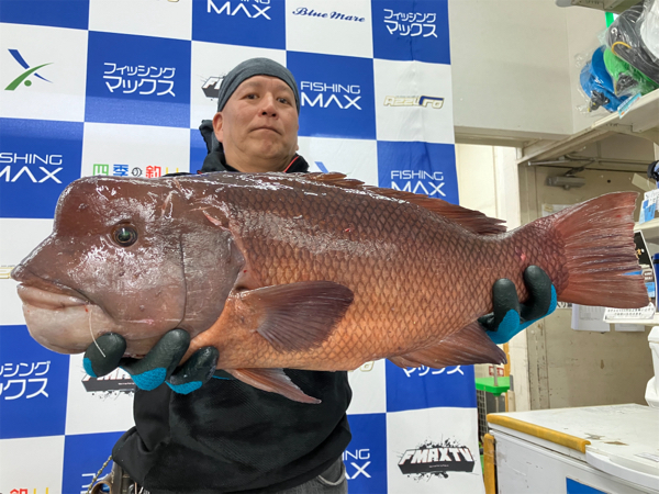 淡路島コブダイチャレンジ4回目　やっとコブダイをパパ釣りました！(^o^)　LUXXE SALTAGE WindMaster S86MH