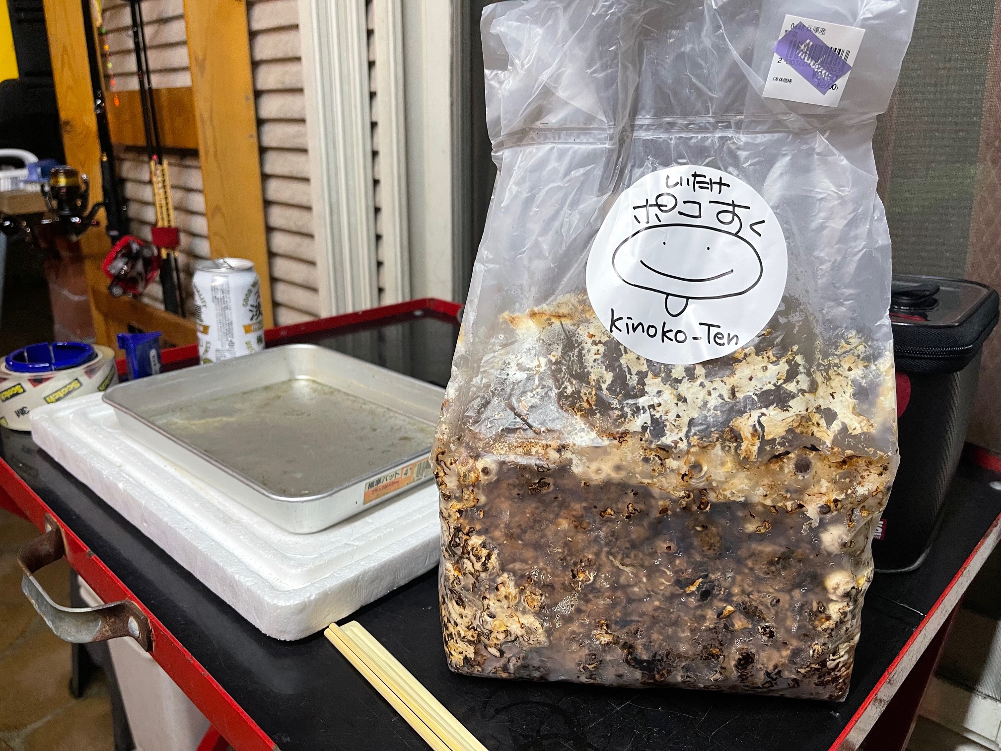 椎茸栽培キット　『ポコすく』　3回目購入！