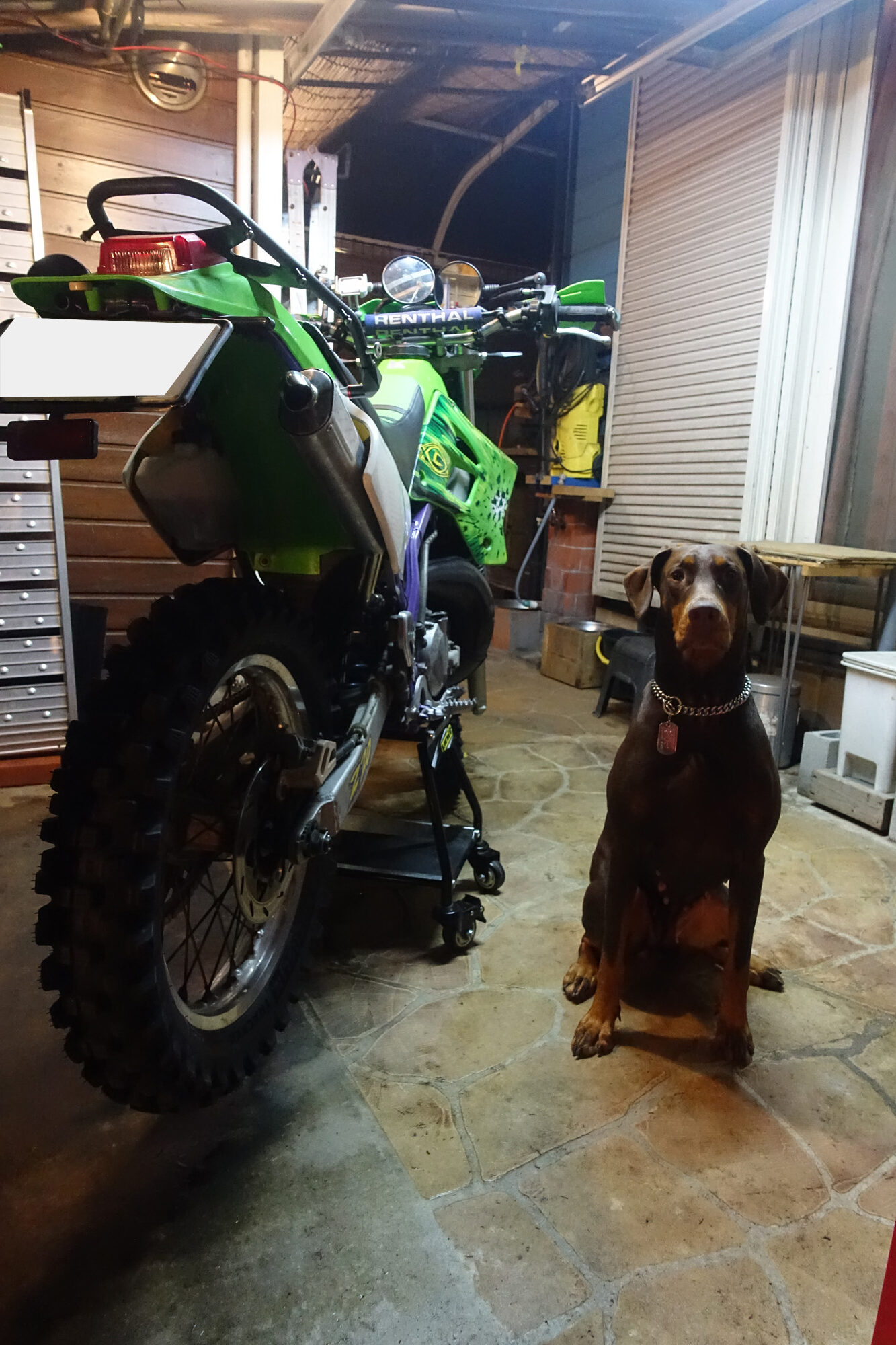 愛犬マロンが人間に! 愛犬マロンが人間に!