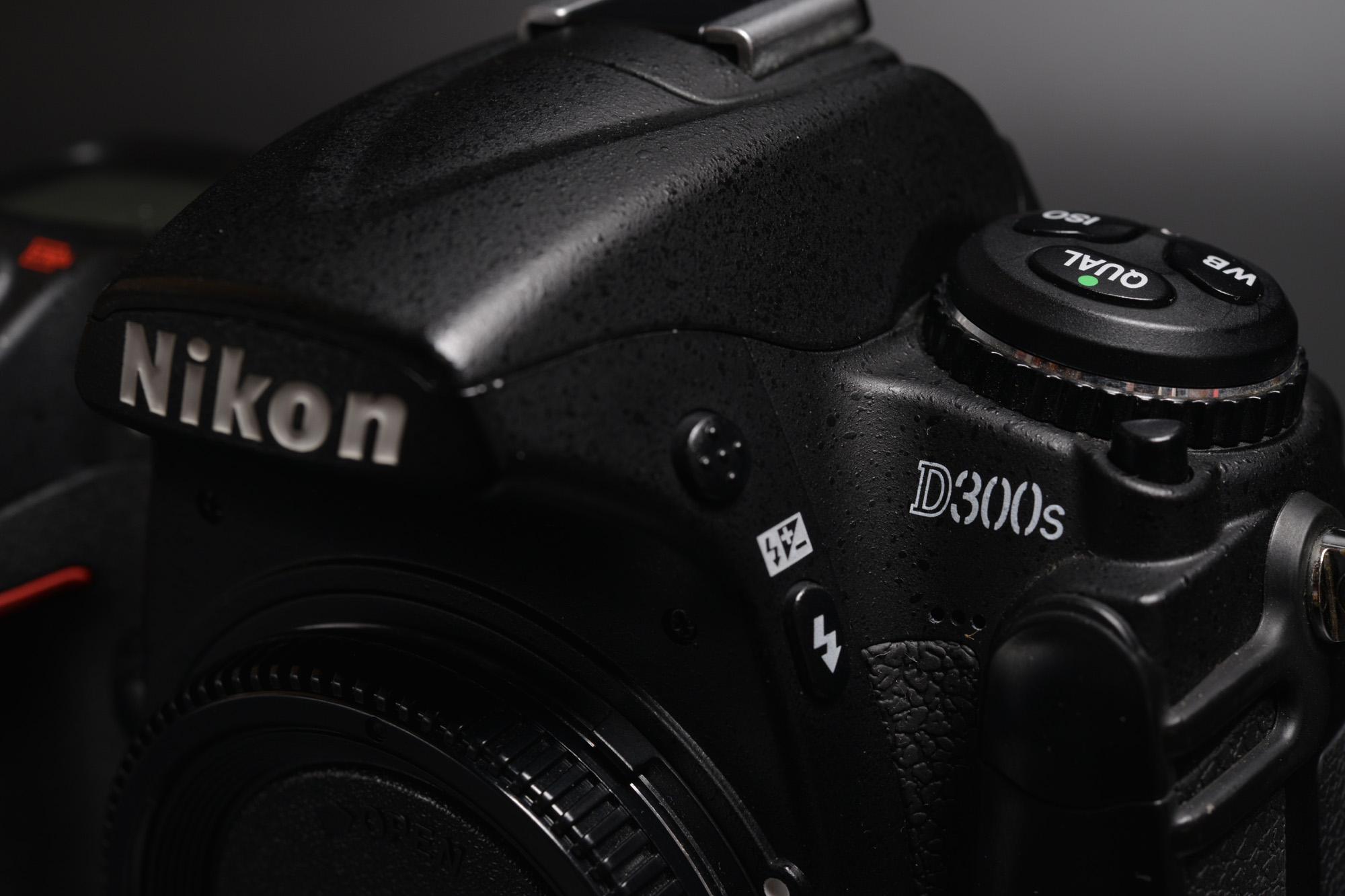 Nikon D300からD300Sに買い換え。