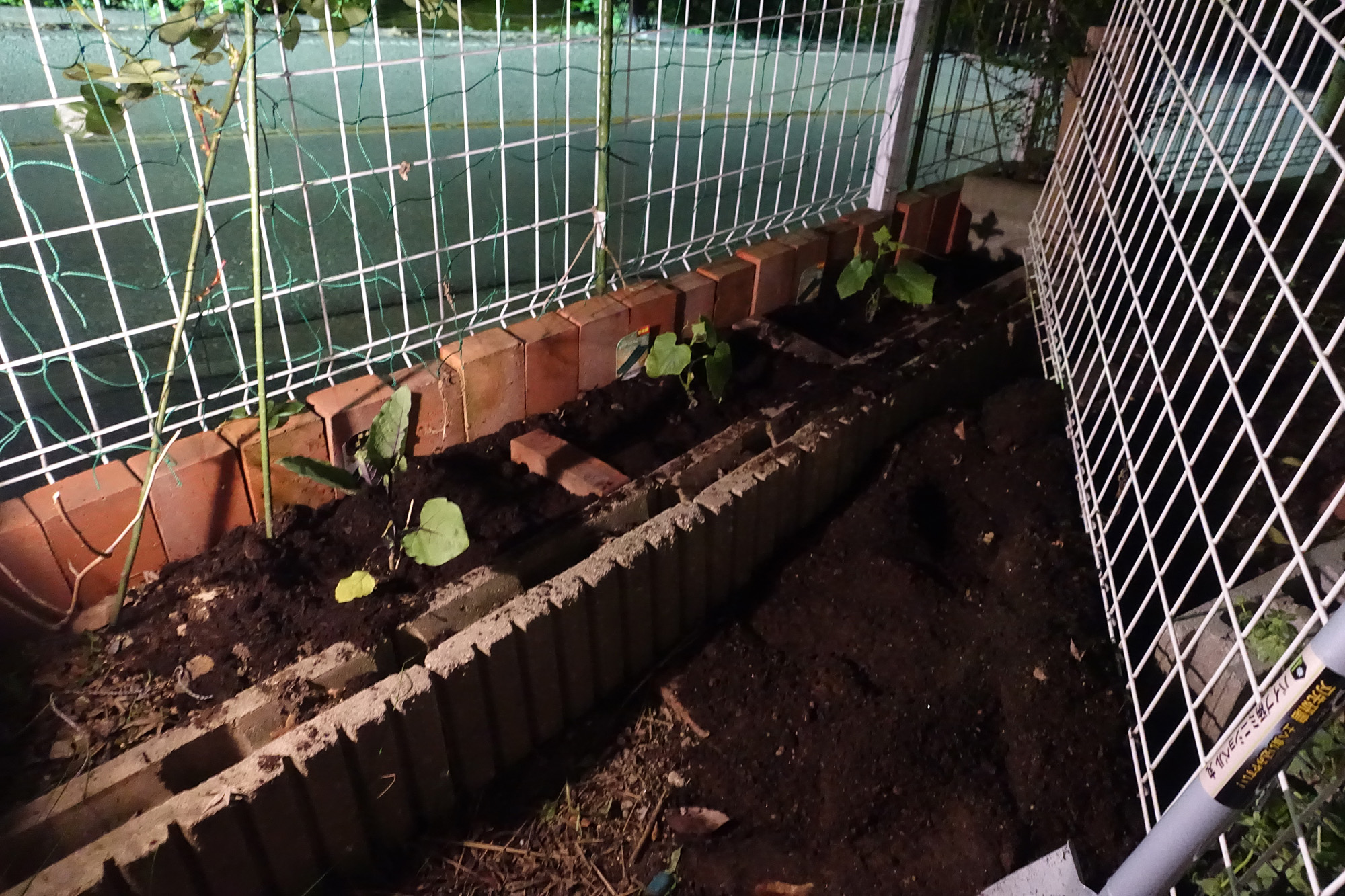 2022年　夏野菜植えました。　キュウリ、オクラ、ナス