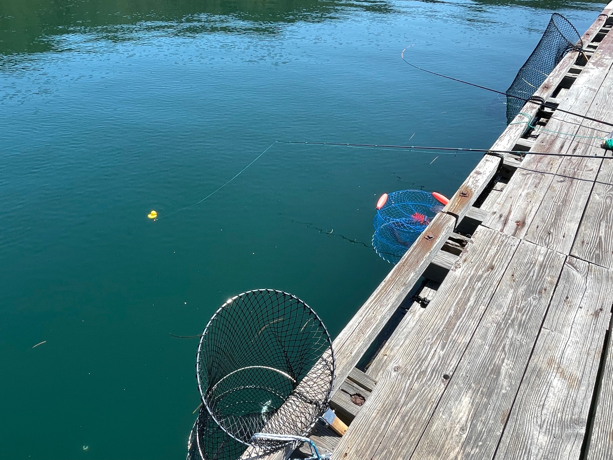 海上釣堀　ビク（スカリ）は、レンタル？持参？　昌栄　海上釣り堀ビク 60cm