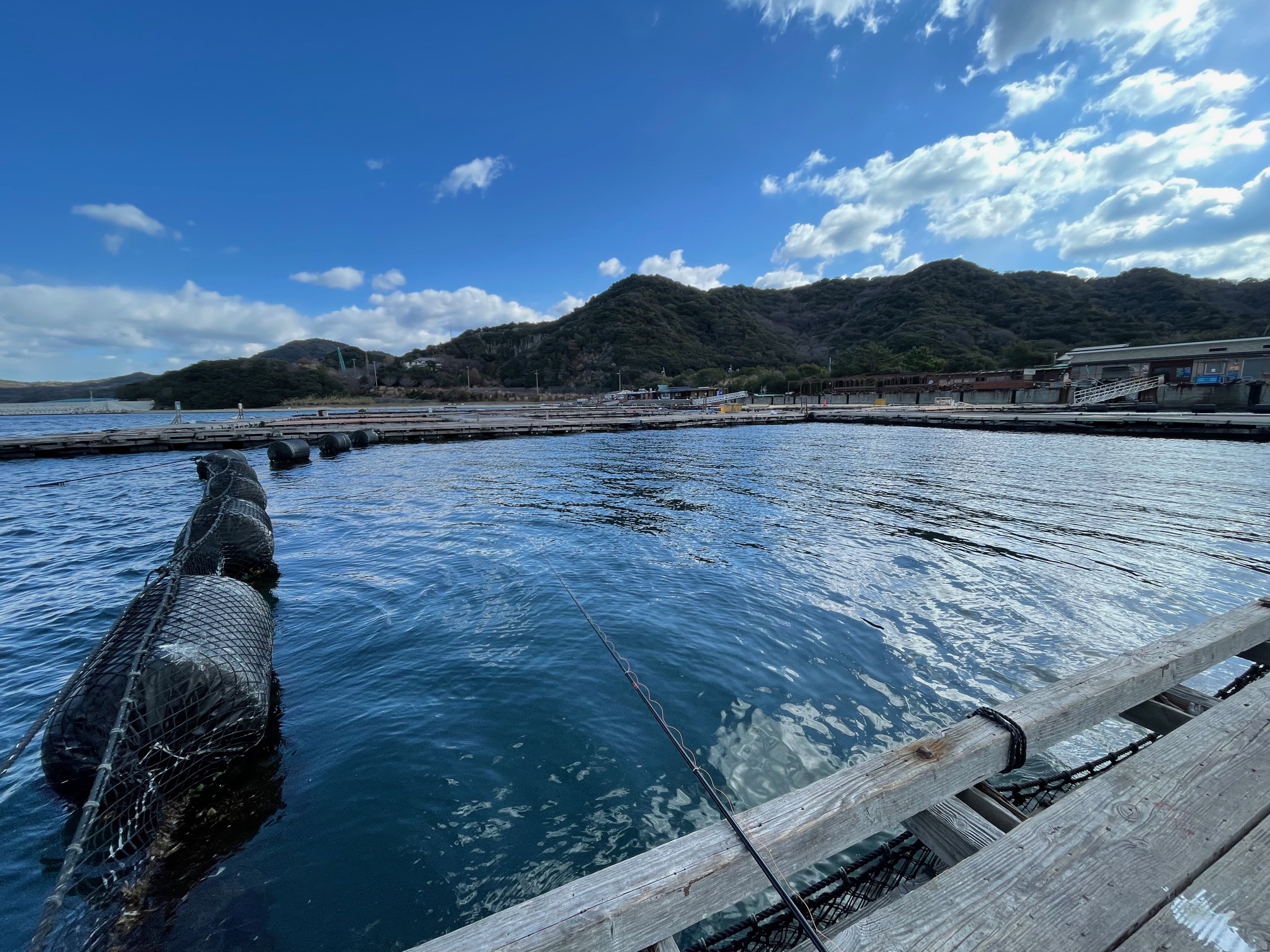 海上釣堀でサーモン放流されたので仕掛けと餌の用意します。