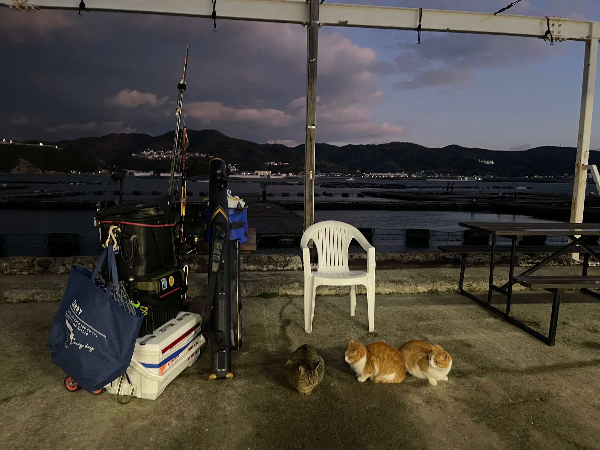 釣り納め！今年最後の海上釣堀