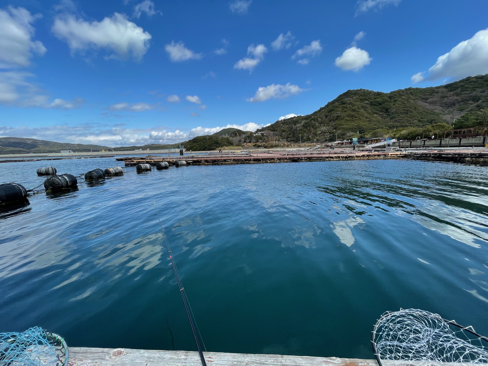 今日も渋い！海上釣堀！(T_T)