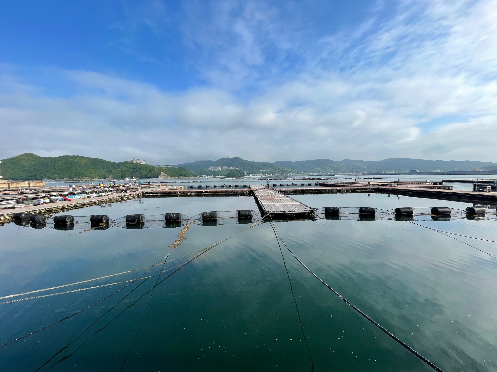 ゴールデンウィーク開けの海上釣堀は、常連いっぱいでした。最後入場の結末は．．．