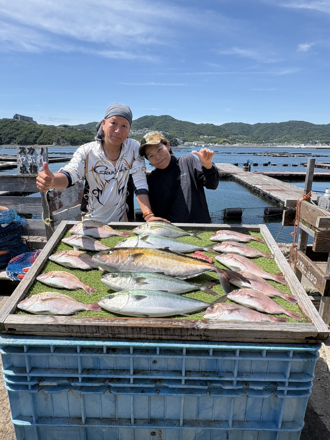 今週も肩痛めての海上釣堀でした。 リベンジカンパチ! 今週も肩痛めての海上釣堀でした。 リベンジカンパチ!