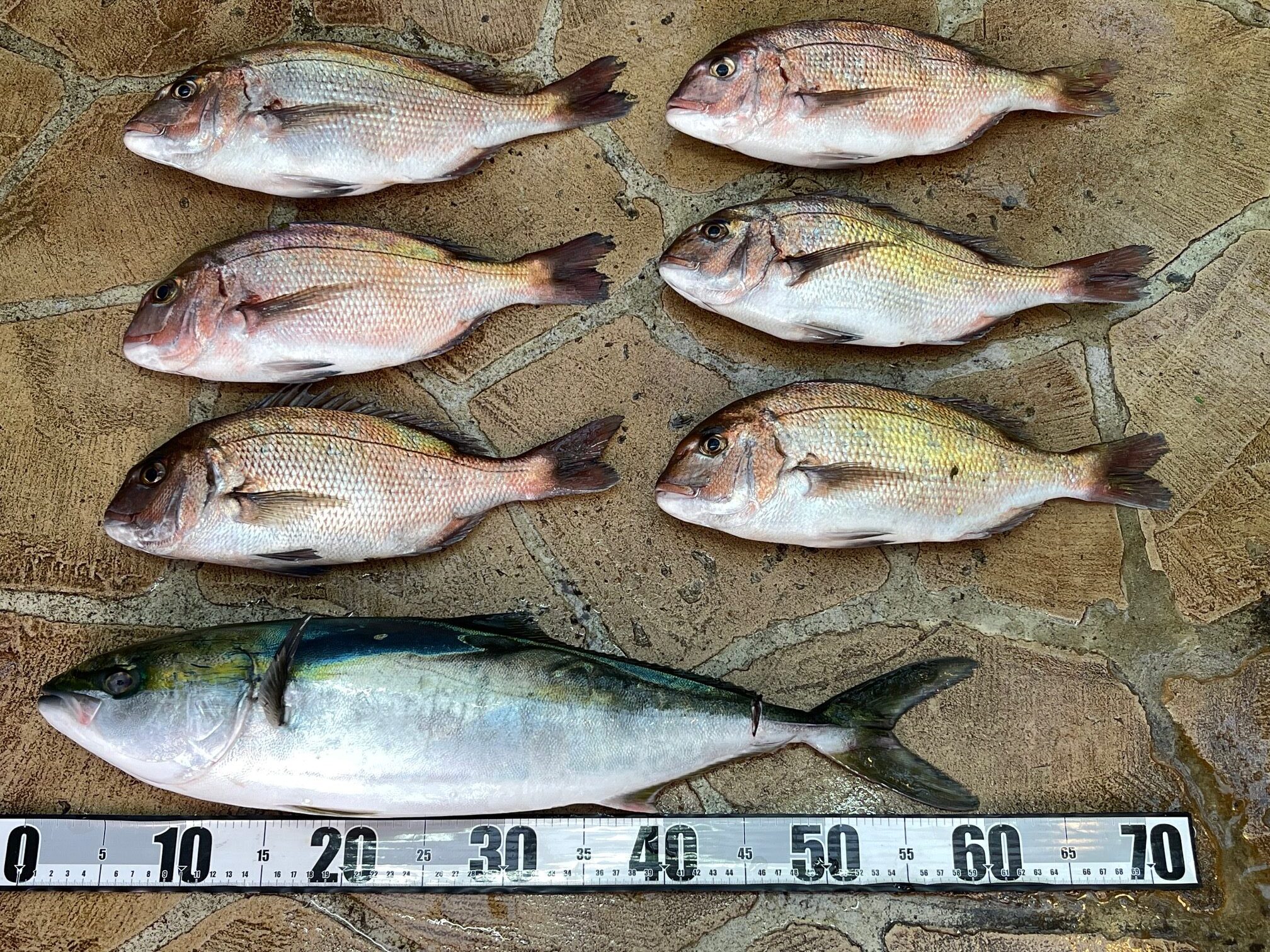 右肩が腱板断裂ですが釣りに行きました。 右肩が腱板断裂ですが釣りに行きました。